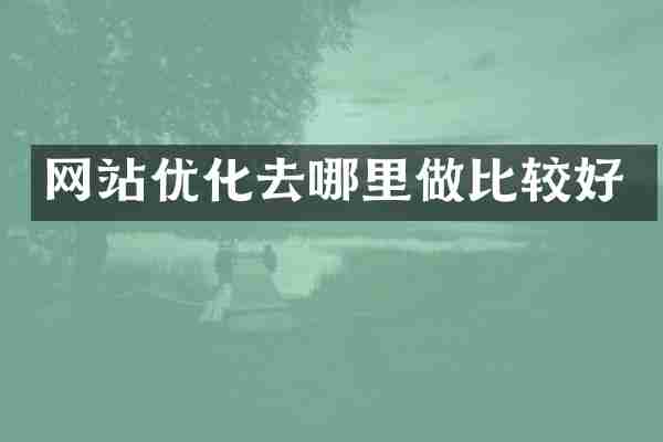 网站优化去哪里做比较好