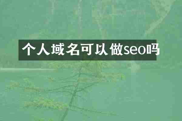 个人域名可以做seo吗