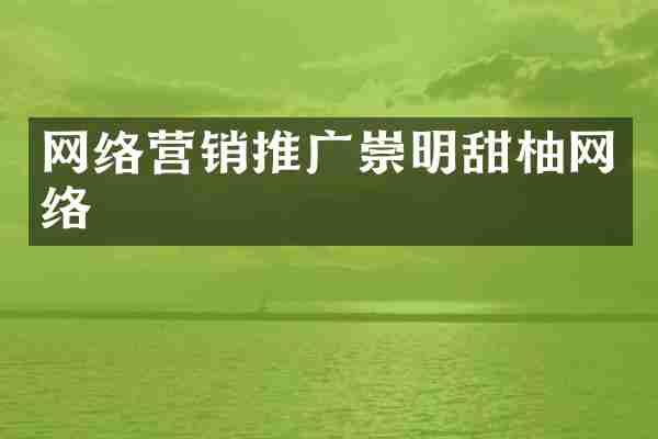 网络营销推广崇明甜柚网络