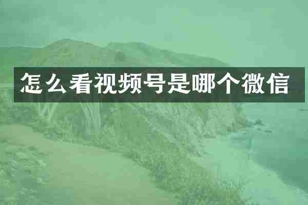 怎么看视频号是哪个微信