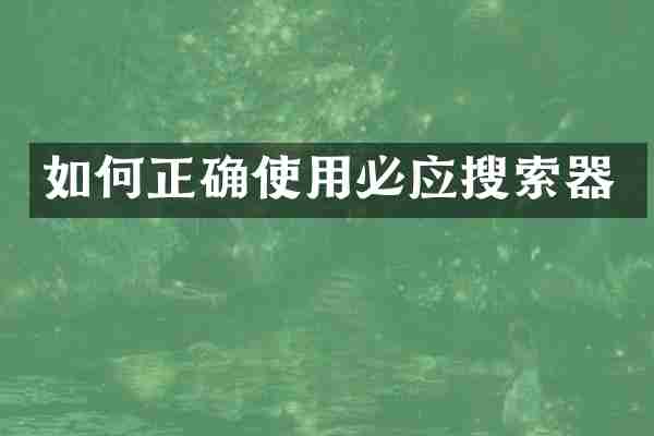 如何正确使用必应搜索器