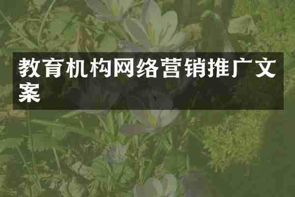教育机构网络营销推广文案
