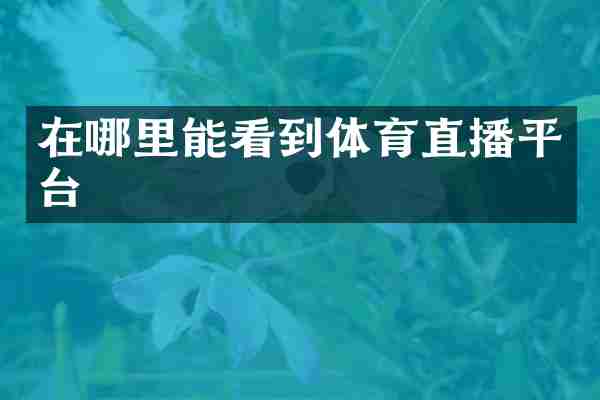 在哪里能看到体育直播平台