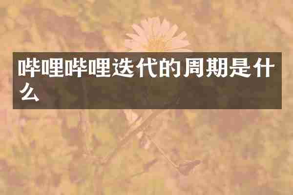 哔哩哔哩迭代的周期是什么