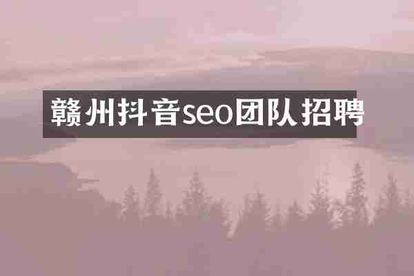 赣州抖音seo团队招聘