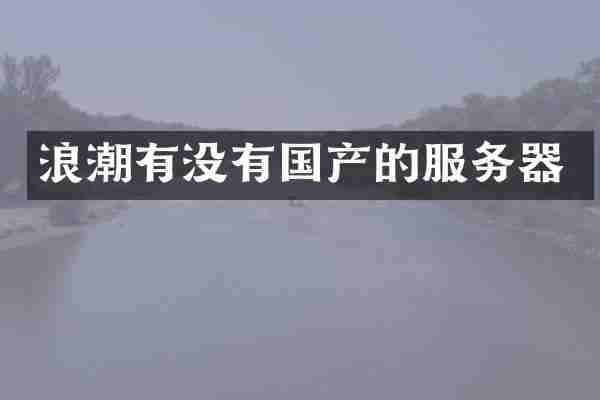 浪潮有没有国产的服务器