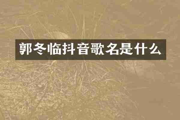 郭冬临抖音歌名是什么