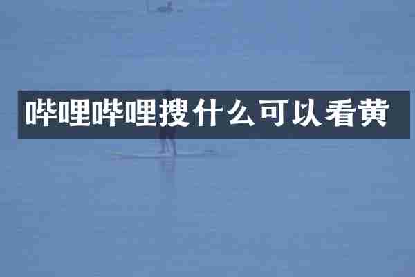 哔哩哔哩搜什么可以