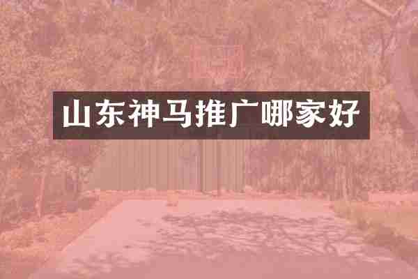 山东神马推广哪家好