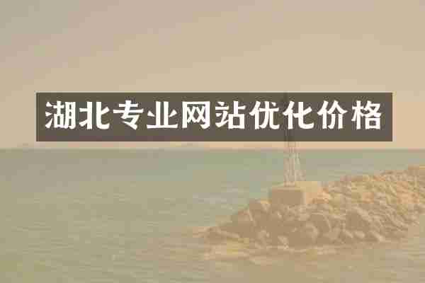 湖北专业网站优化价格