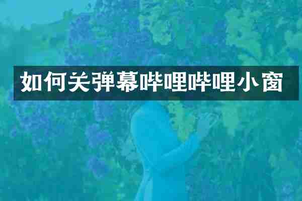 如何关弹幕哔哩哔哩小窗