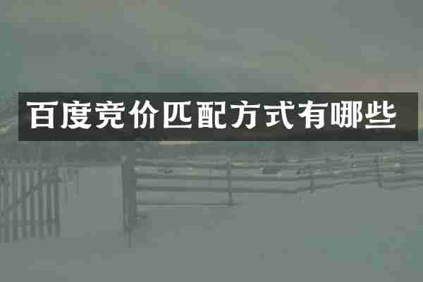 百度竞价匹式有哪些