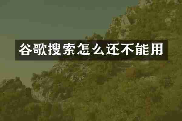 谷歌搜索怎么还不能用