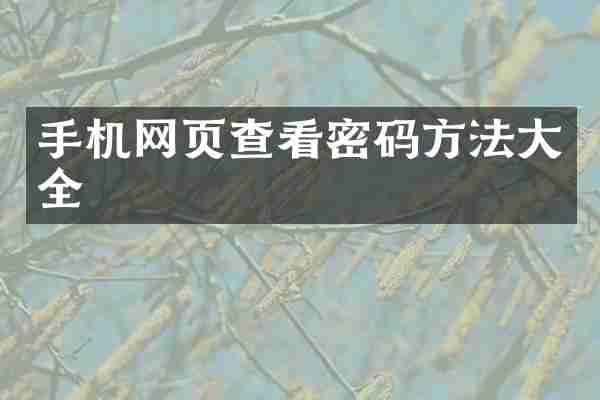 手机网页查看密码方法大全