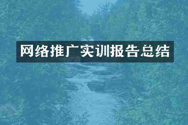 网络推广实训报告总结
