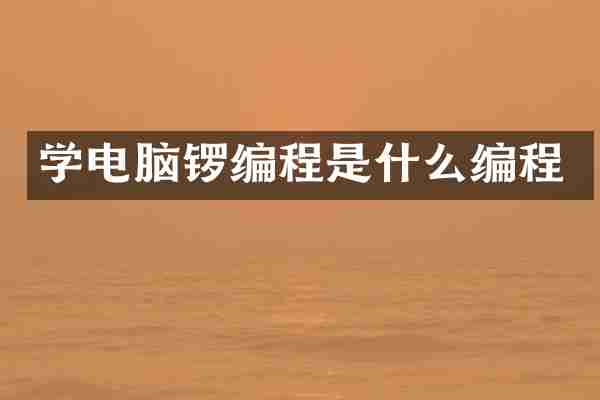 学电脑锣编程是什么编程