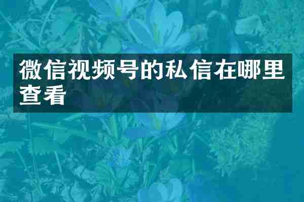 微信视频号的私信在哪里查看