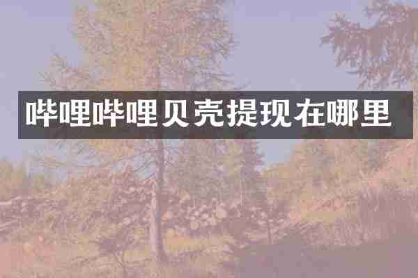 哔哩哔哩贝壳提现在哪里