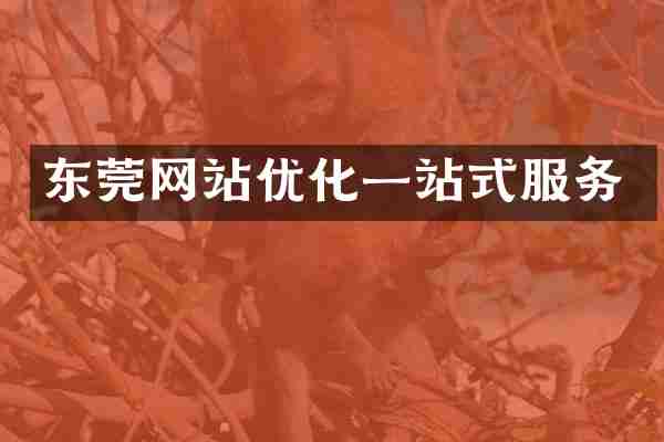 东莞网站优化一站式服务