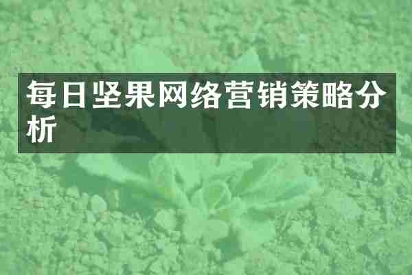 每日坚果网络营销策略分析