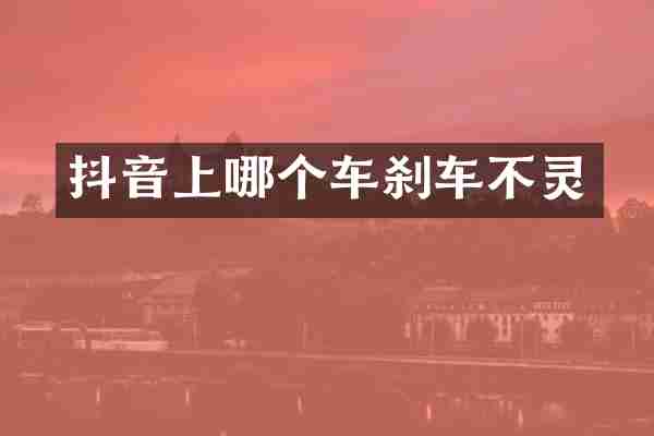 抖音上哪个车刹车不灵