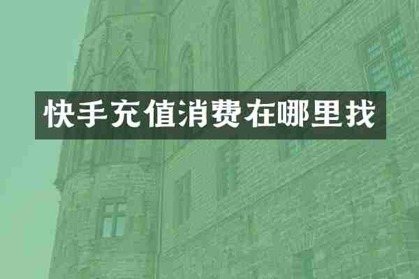 快手充值消费在哪里找