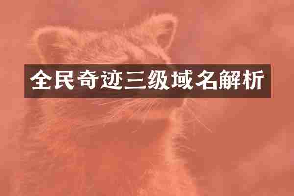 全民奇迹三级域名解析