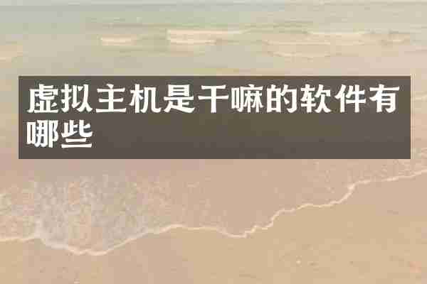 虚拟主机是干嘛的软件有哪些