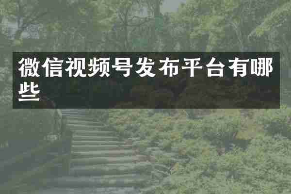 微信视频号发布平台有哪些