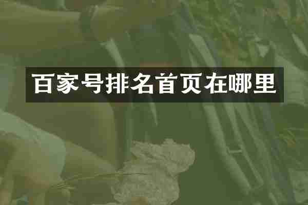 百家号排名首页在哪里