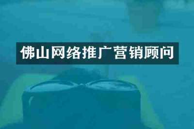 佛山网络推广营销顾问