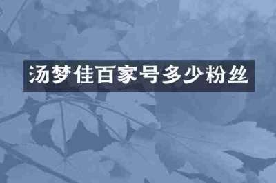 汤梦佳百家号多少粉丝