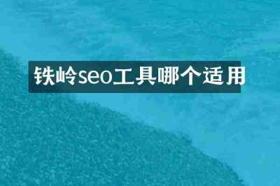 铁岭seo工具哪个适用