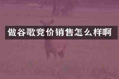 做谷歌竞价销售怎么样啊