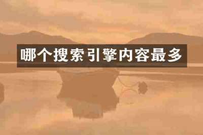 哪个搜索引擎内容最多
