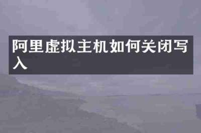 阿里虚拟主机如何关闭写入
