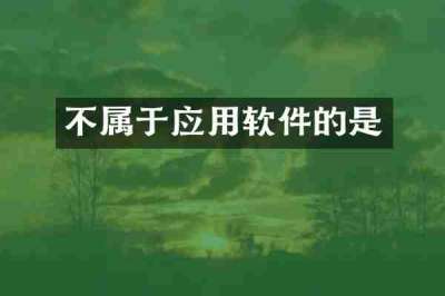 不属于应用软件的是