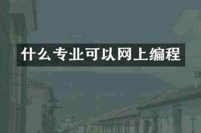 什么专业可以网上编程