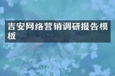 吉安网络营销调研报告模板
