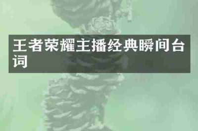 王者荣耀主播经典瞬间台词