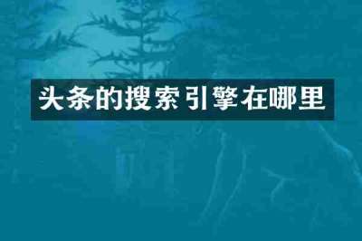 头条的搜索引擎在哪里