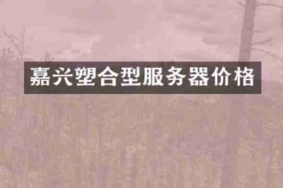嘉兴塑合型服务器价格
