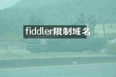 fiddler限制域名
