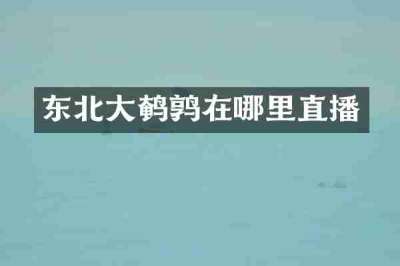 东北大鹌鹑在哪里直播