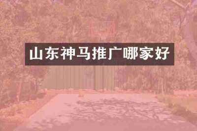 山东神马推广哪家好