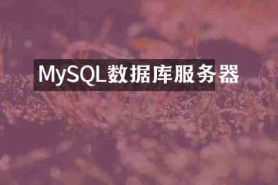 MySQL数据库服务器