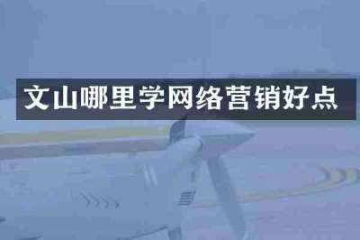 文山哪里学网络营销好点