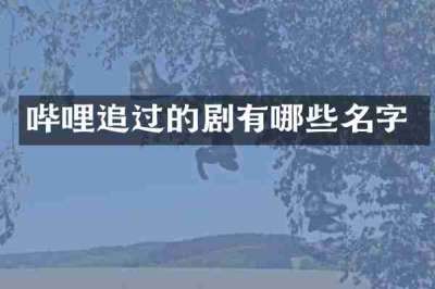 哔哩追过的剧有哪些名字