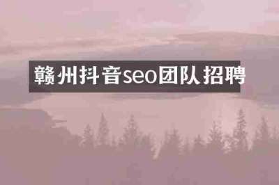 赣州抖音seo团队招聘