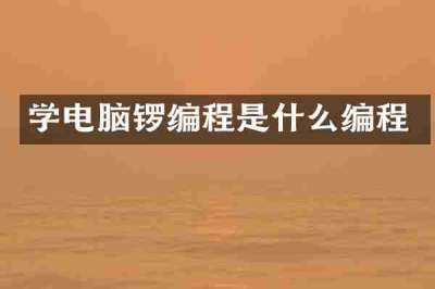 学电脑锣编程是什么编程